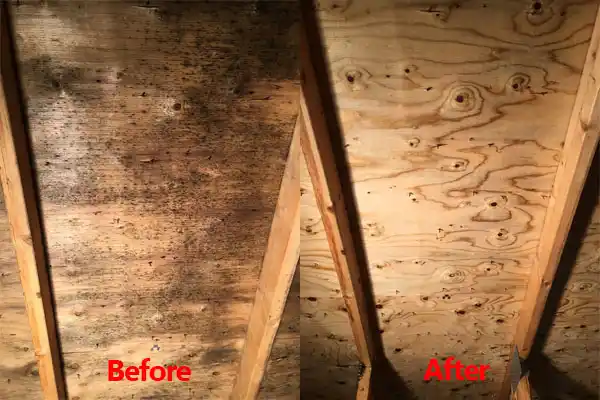 water damage restoration service Grasonville